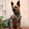 American River Choke Free Dog Harness Ombre Collection - Limestone Gray