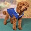 Weekender Dog Sweatshirt Hoodie - Royal Blue
